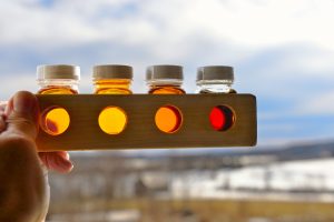 Man holding Maple Syrup Grading Kit