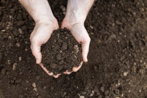 man holding soil