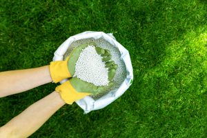 person holding lawn fertilizer with garden gloves on