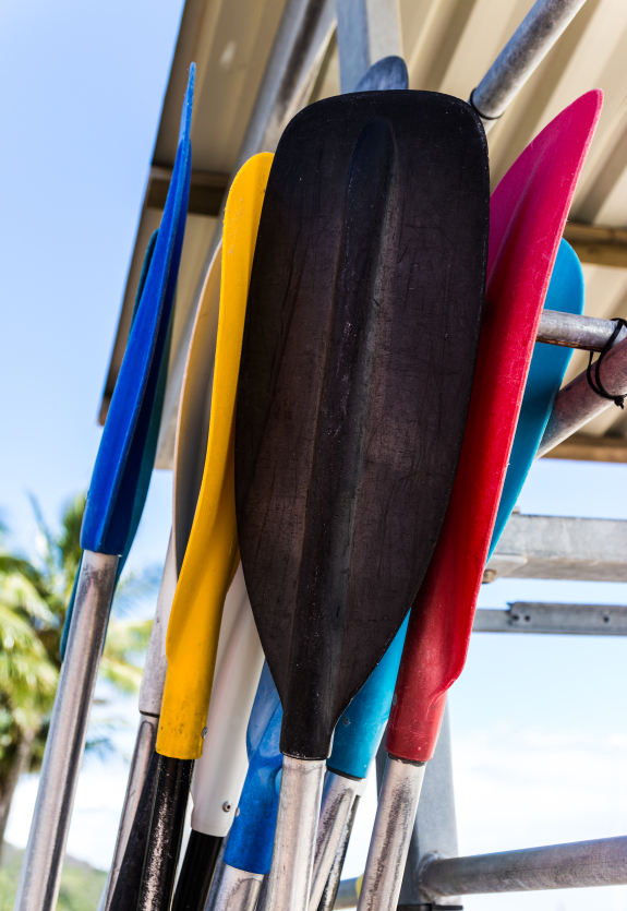 Paddles lean together on the beach Blain's Farm & Fleet Blog