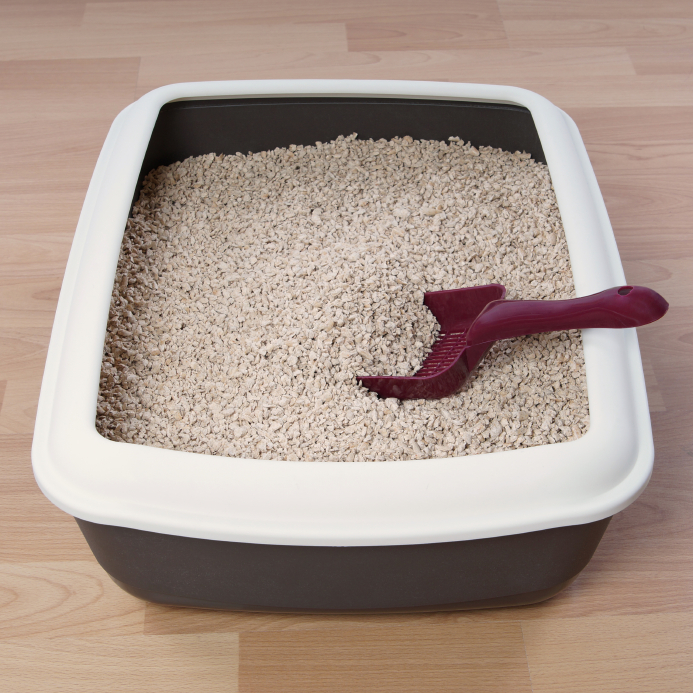 Cat Litter Buying Guide Blain's Farm & Fleet Blog