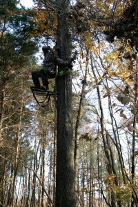 Where to Hang Your Hunting Tree Stand