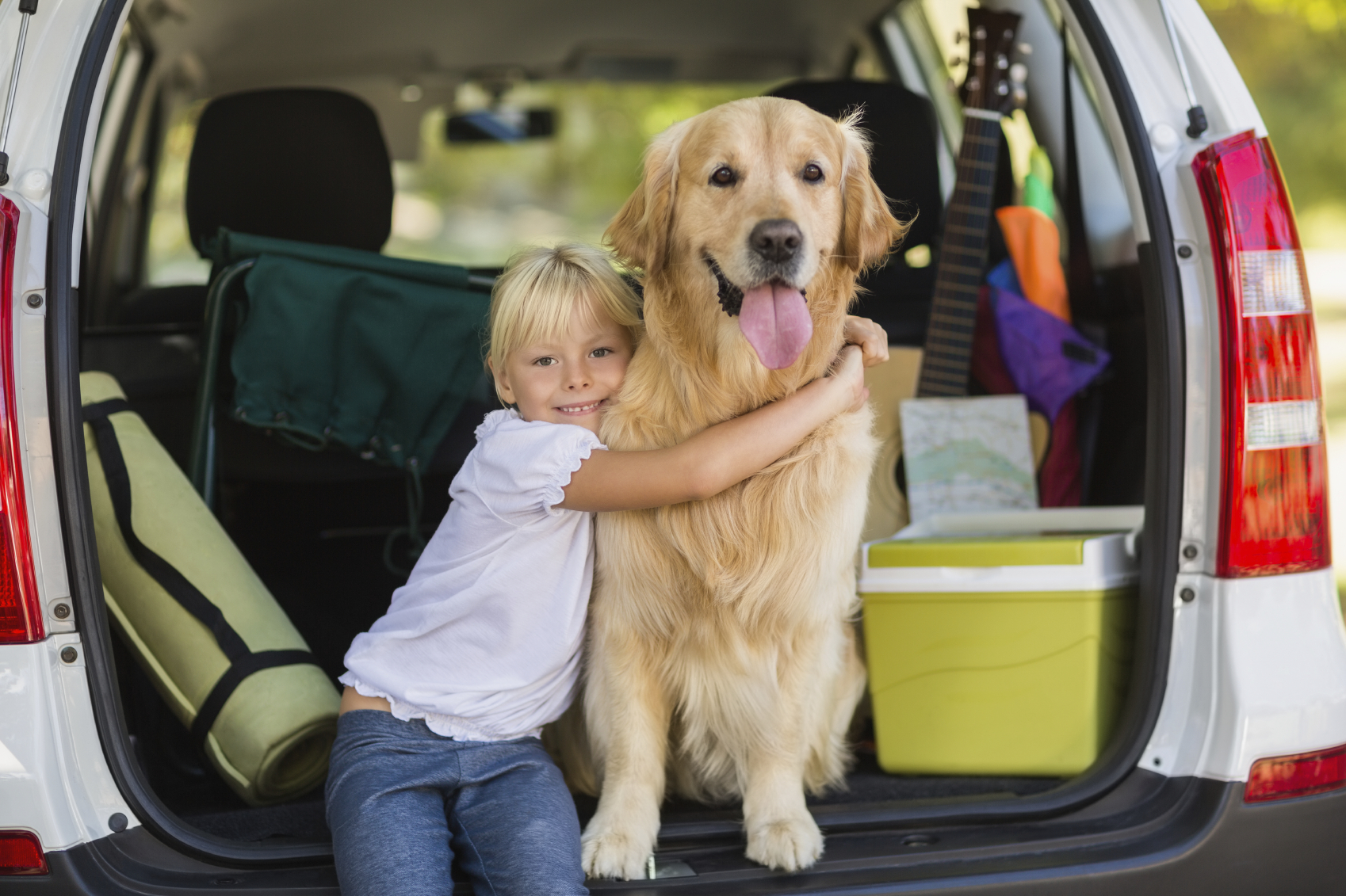 5 Tips for Traveling With Dogs Blain's Farm & Fleet Blog