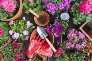 gardening supplies
