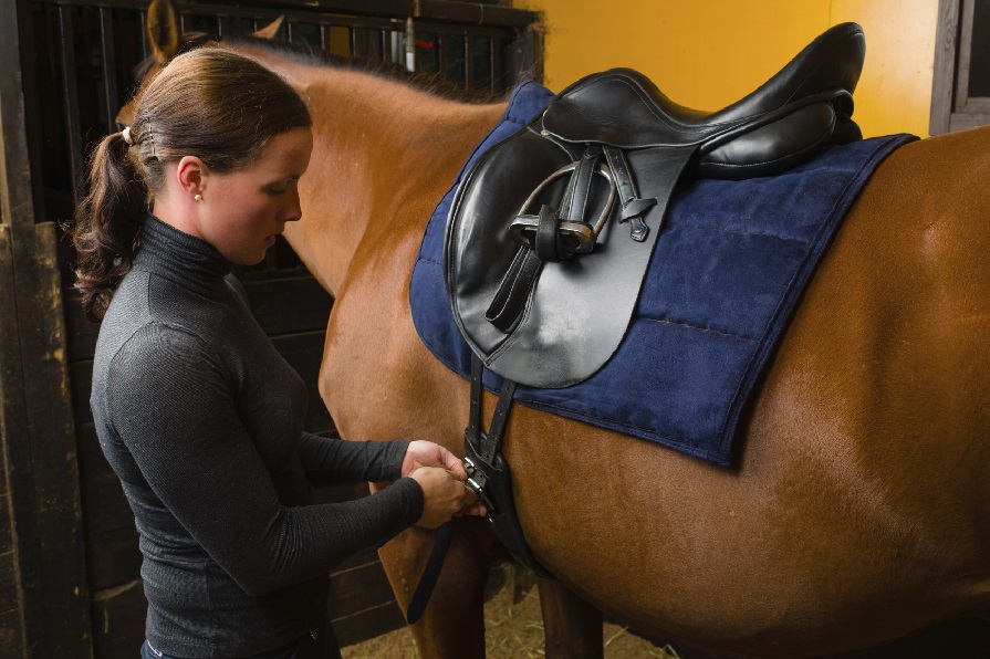 How to Clean Your Saddle Blain's Farm & Fleet Blog