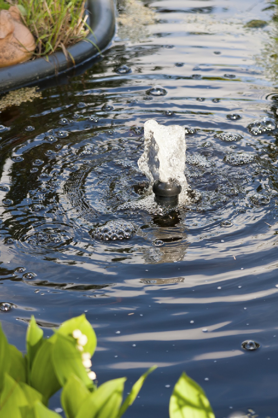 Diy Pond Maintenance Blain S Farm Fleet Blog