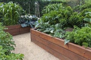 Tips for Bulding Raised Garden Beds