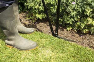How to Use a Lawn Edger