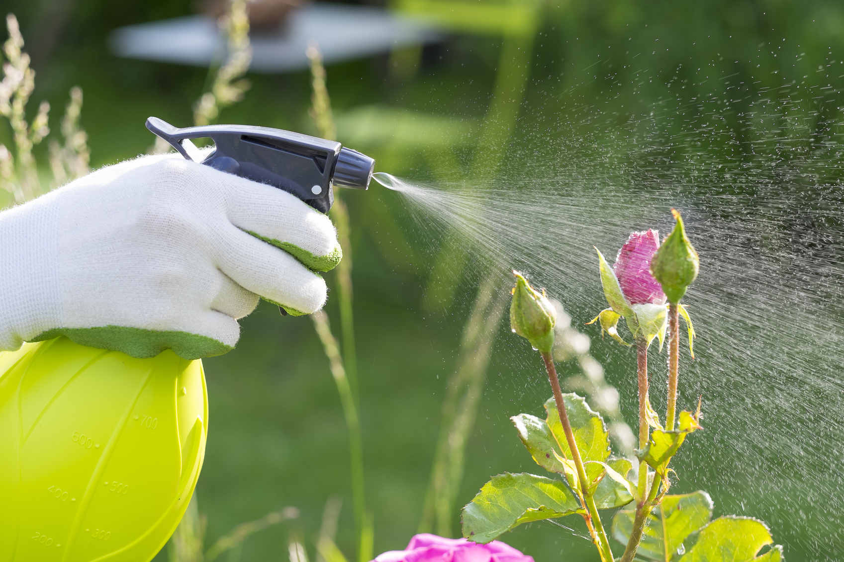Keeping Insects Keeping Out Garden Insects | Blain's Farm & Fleet