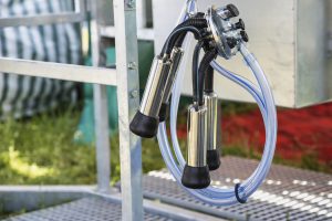 How to Clean Dairy Equipment