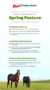 Chart from Nutrena listing the do's and don'ts of transitioning to spring pasture