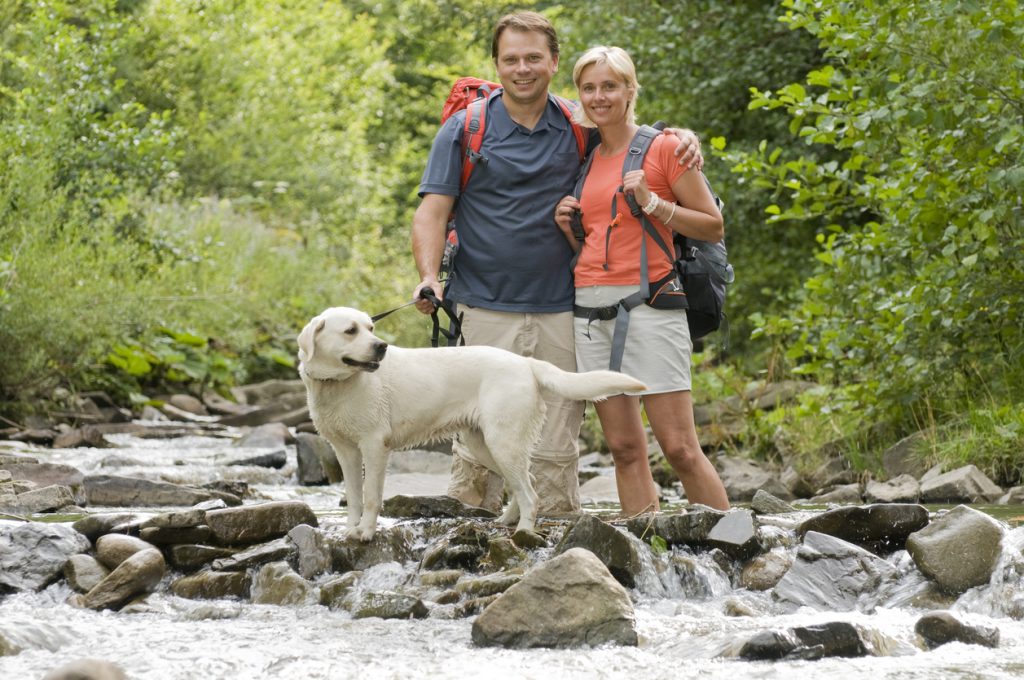 10 Tips for Hiking With Your Dog Blain's Farm & Fleet Blog
