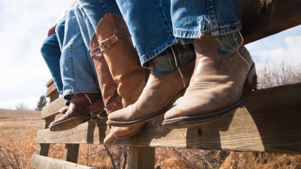 How to Care For Your Western Boots Blain's Farm & Fleet Blog