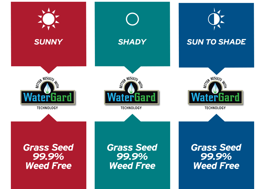 How to Apply Lawn Fertilizer & Grass Seed Blain's Farm & Fleet Blog