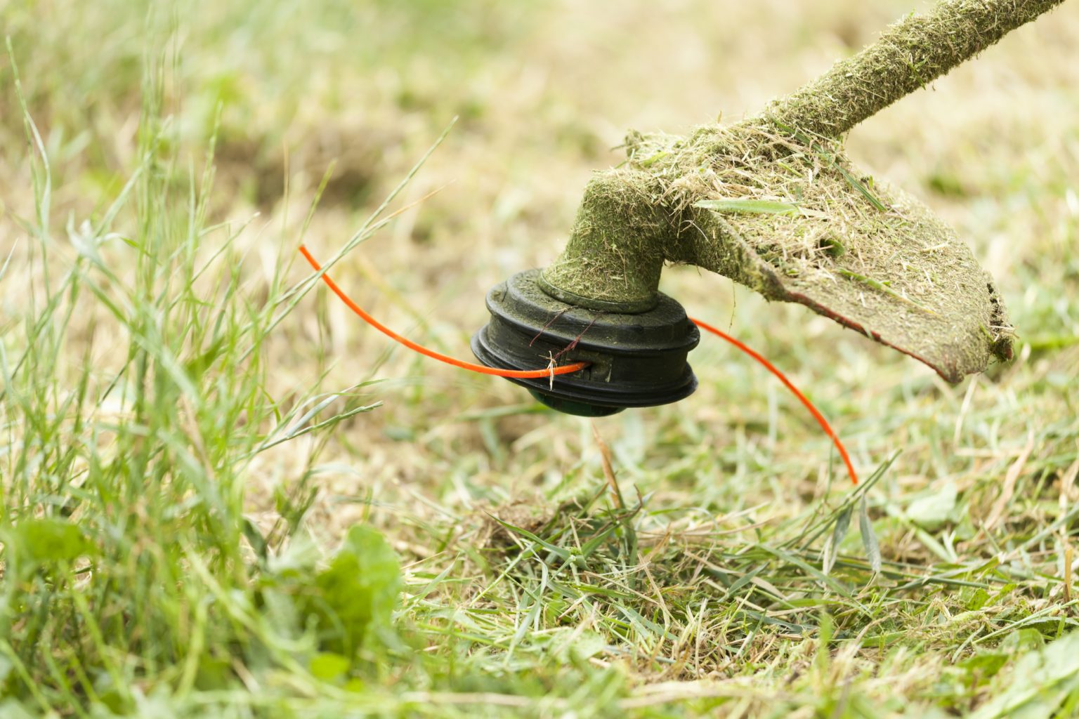 String Trimmers Vs. Lawn Edgers What's the Difference? Blain's Blog