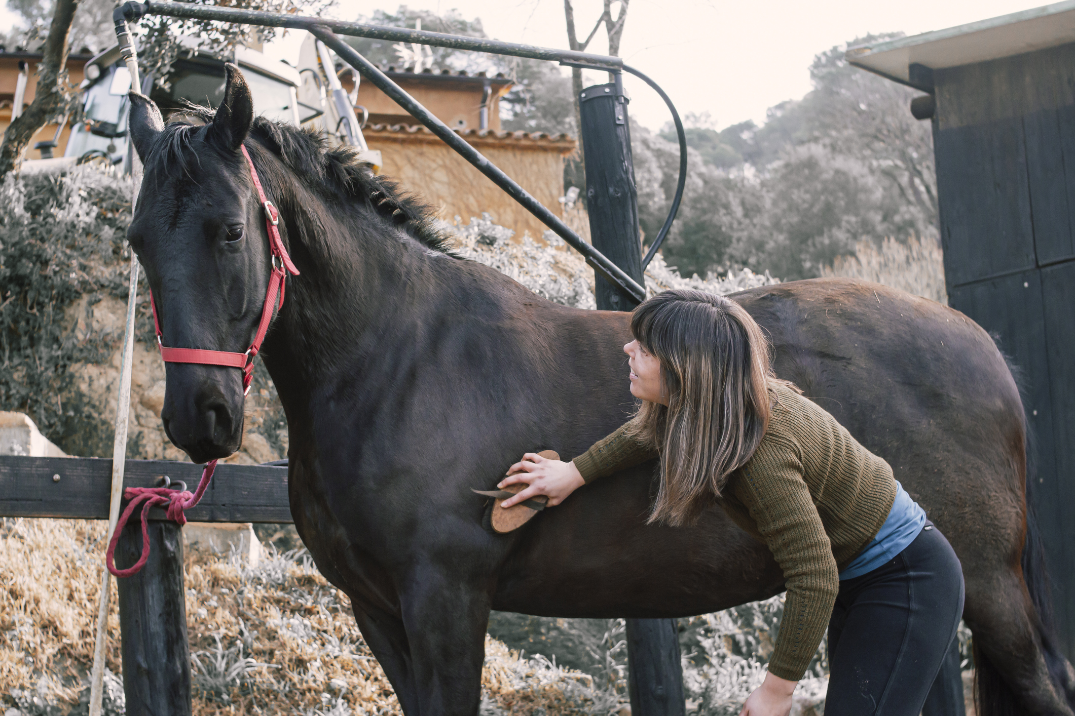 Cleaning Your Horse Tack for Riding Season | Blain's Farm & Fleet Blog