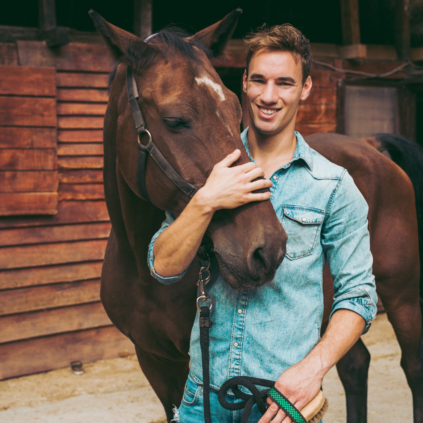 Choosing the Right Horse Stall Mat Blain's Farm & Fleet Blog