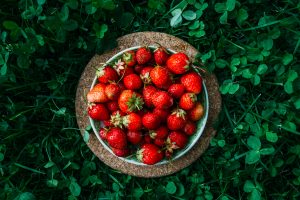 Basket of fresh picked strawberries against a bed of lush green clover