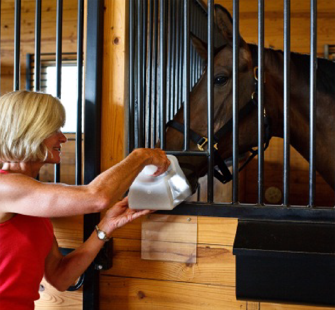 Feeding Your "Hard Keeper" Horse Blain's Farm & Fleet Blog