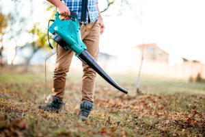 Man with leaf blower