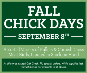 chick days banner