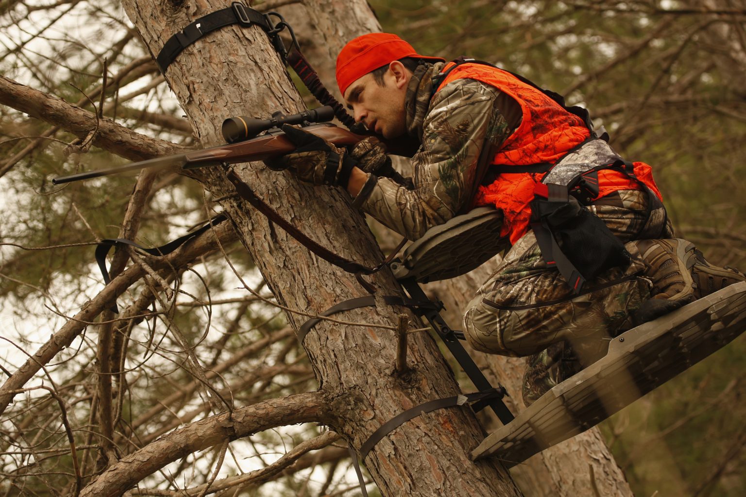 Choosing the Right Tree Stand Blain's Farm & Fleet Blog