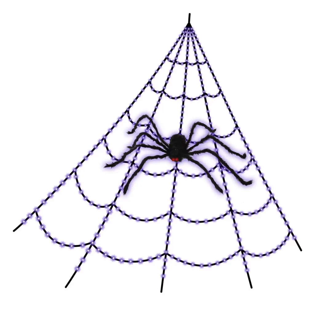 spider web and spider