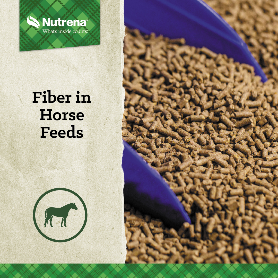 Blains_Sept23 Horse Blog_IG_0723 Blain's Farm & Fleet Blog