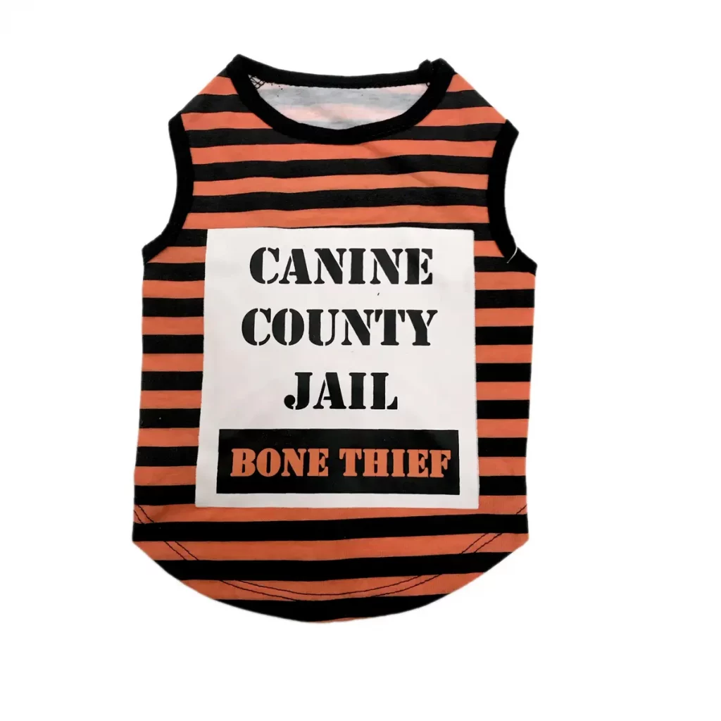 bone thief jail costume