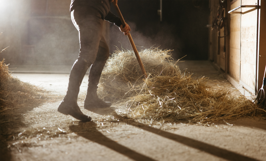 How to Clean Your Horse Stable Blain's Farm & Fleet Blog