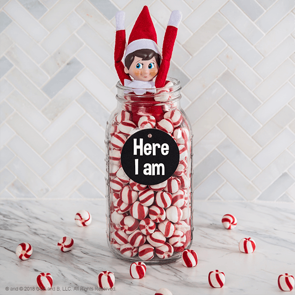 elf in peppermint jar