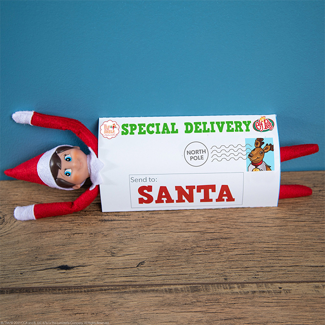 elf in mailer
