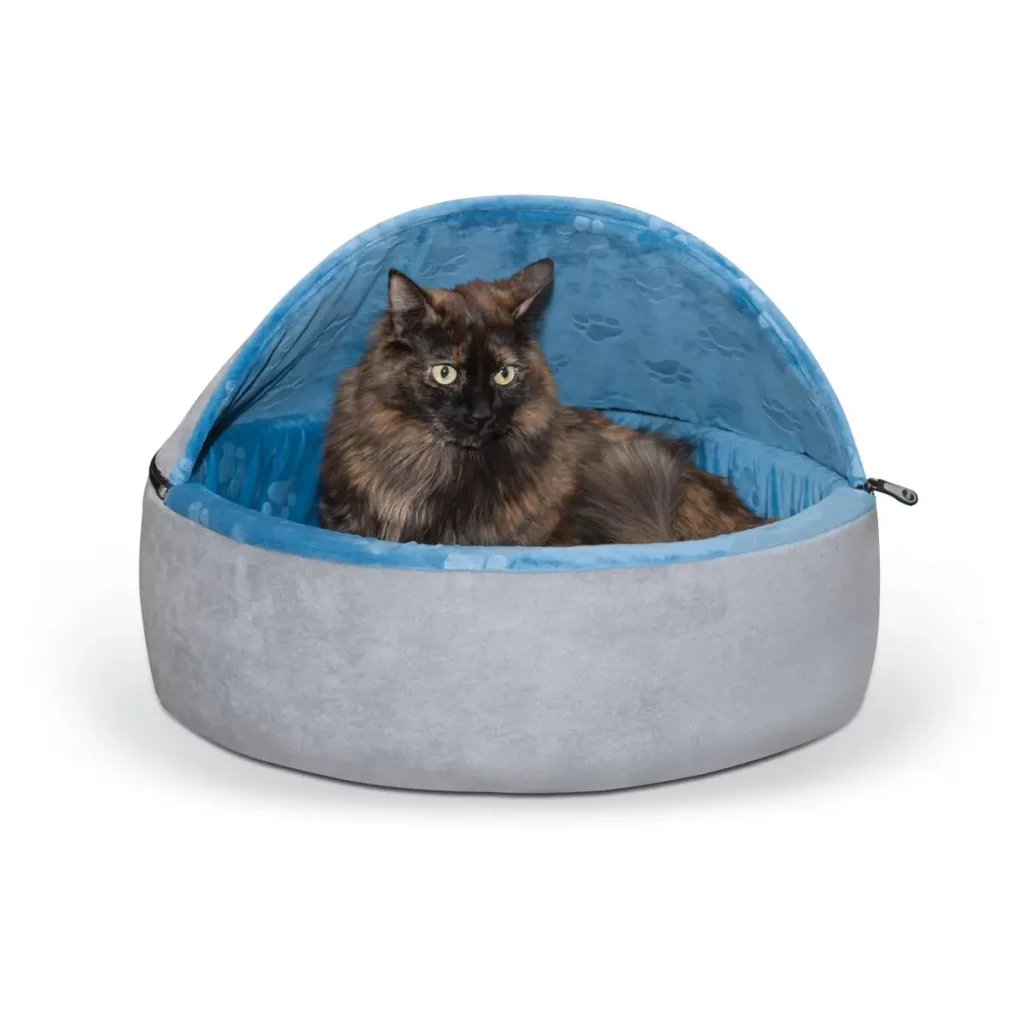 cat in cat bed