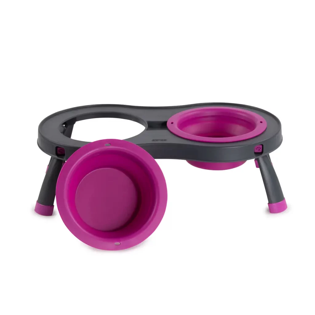 purple dog food & water bowls