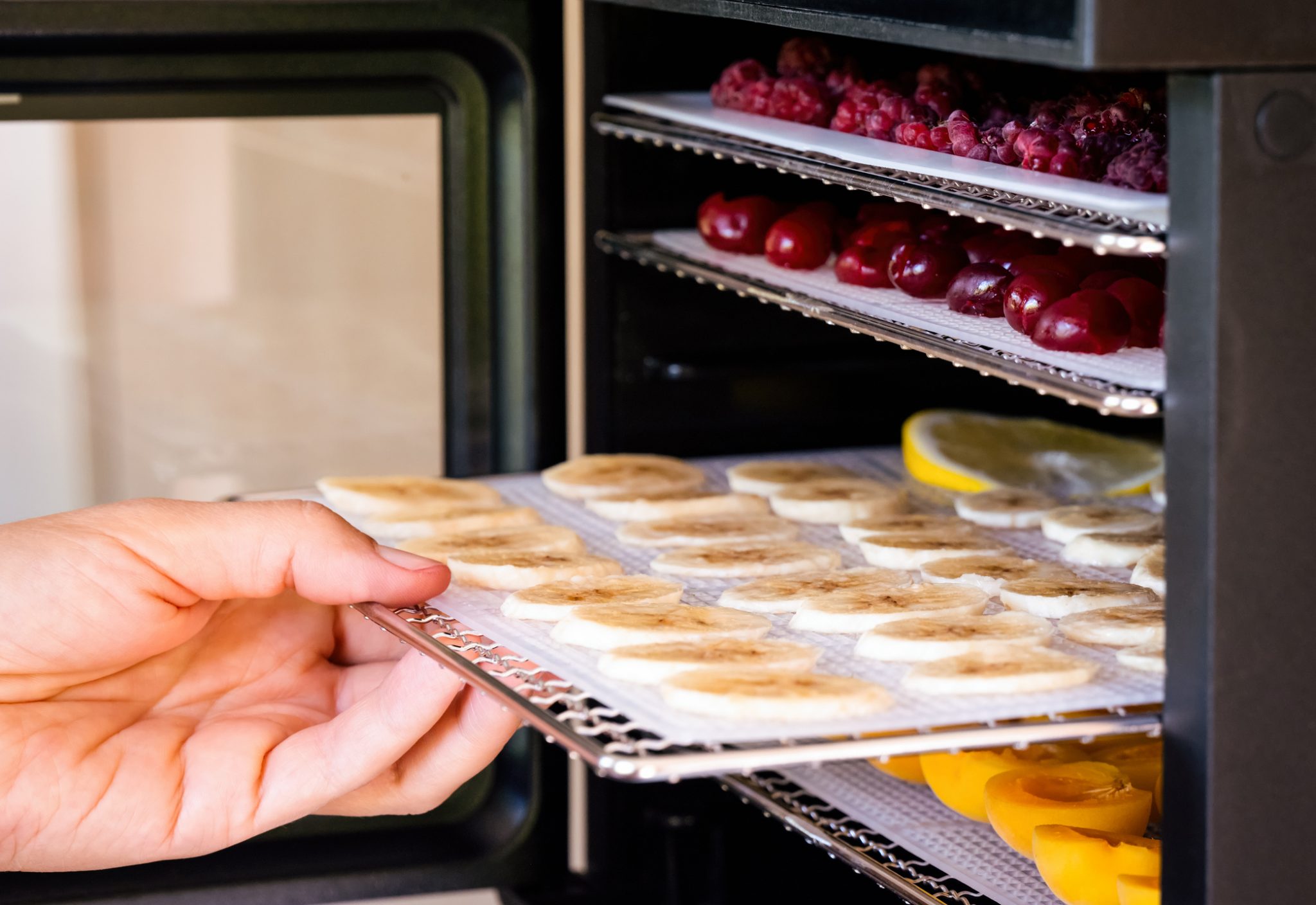 Tips & Tricks for Dehydrating Food Blain's Farm & Fleet Blog