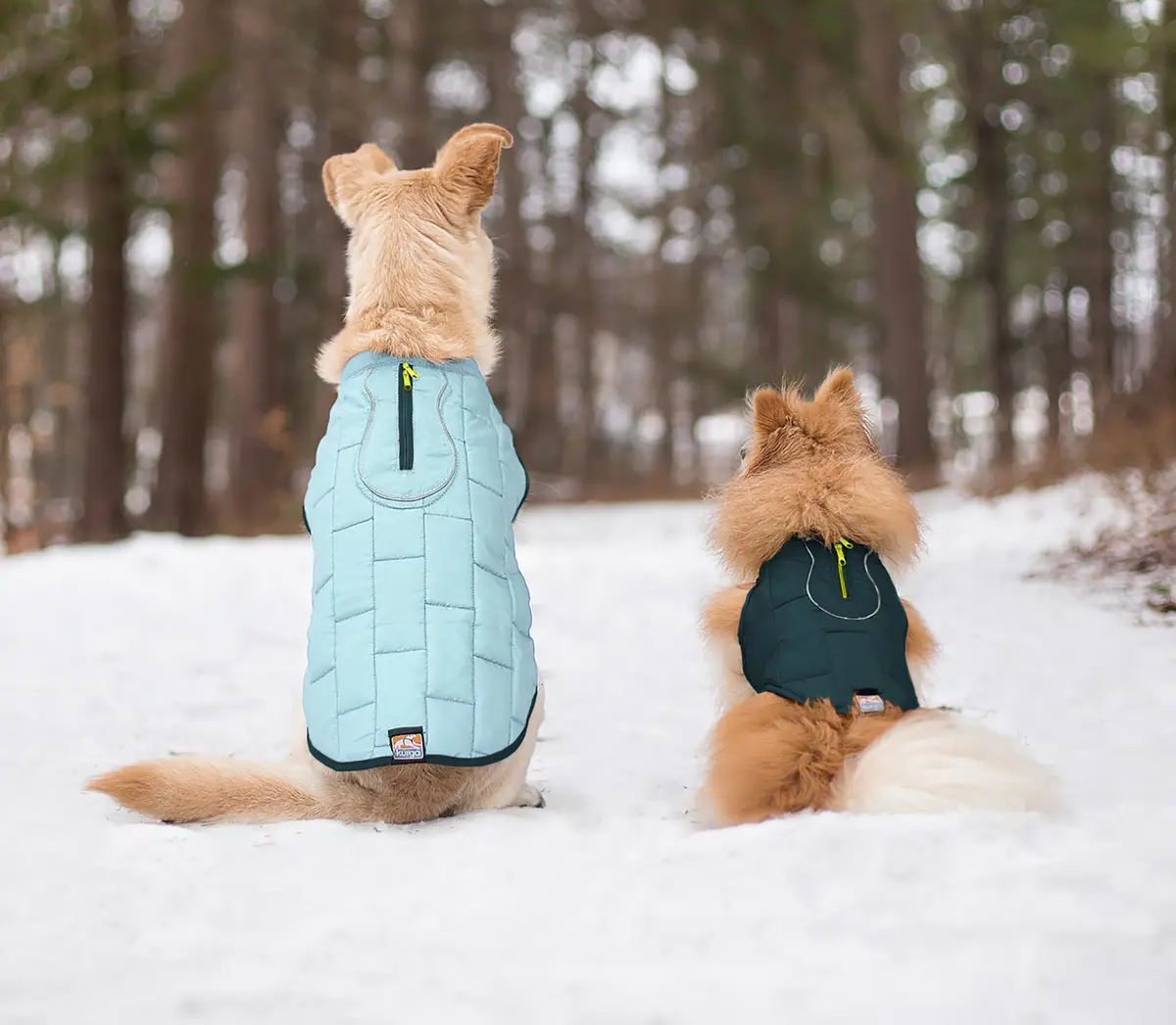 5 Best Dog Coats & Sweaters Blain's Farm & Fleet Blog