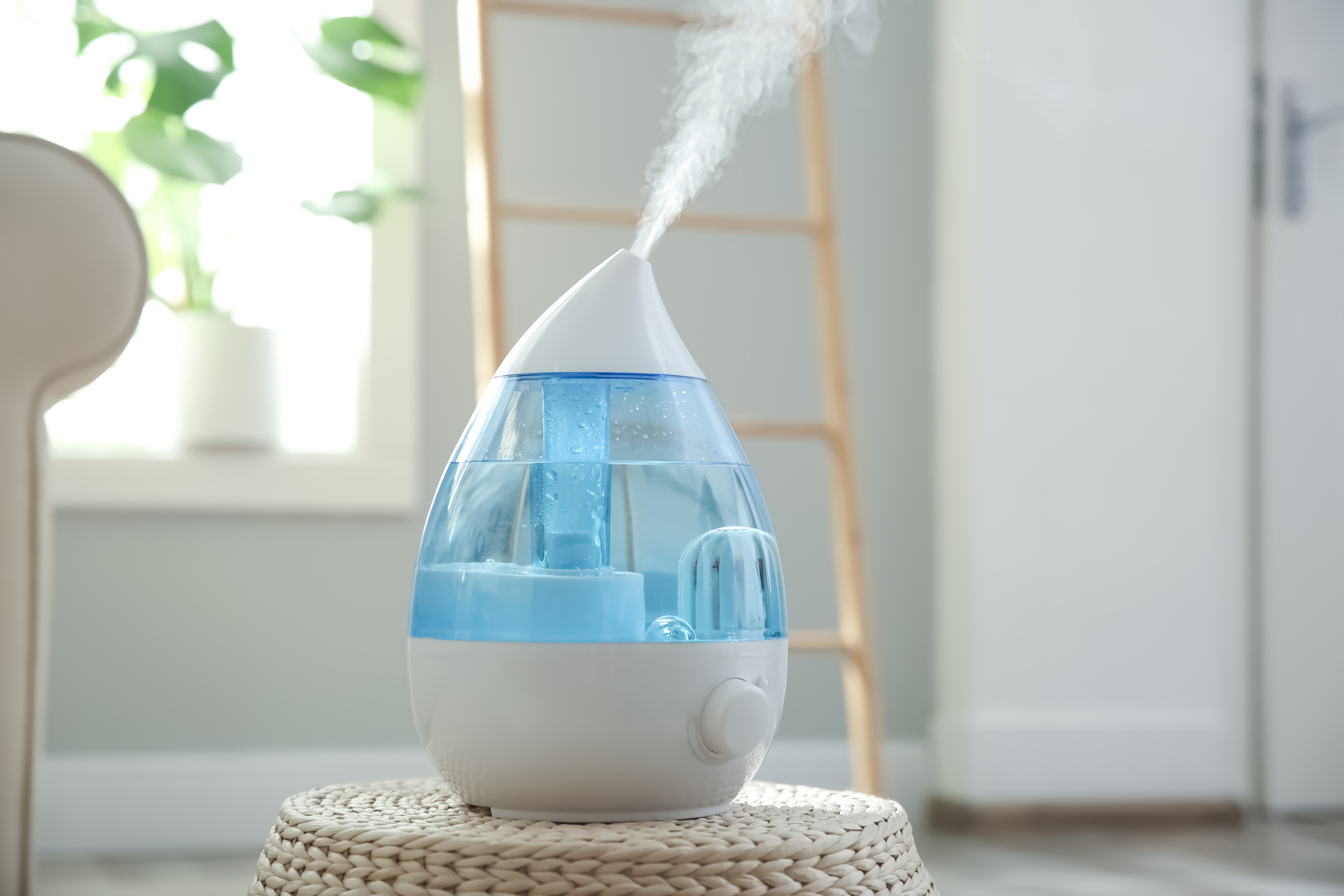 The Ultimate Humidifier Buying Guide Blain's Farm & Fleet Blog