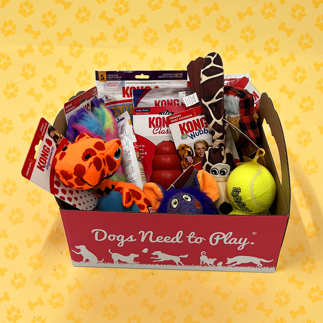 KONG Blain's Farm & Fleet Blog