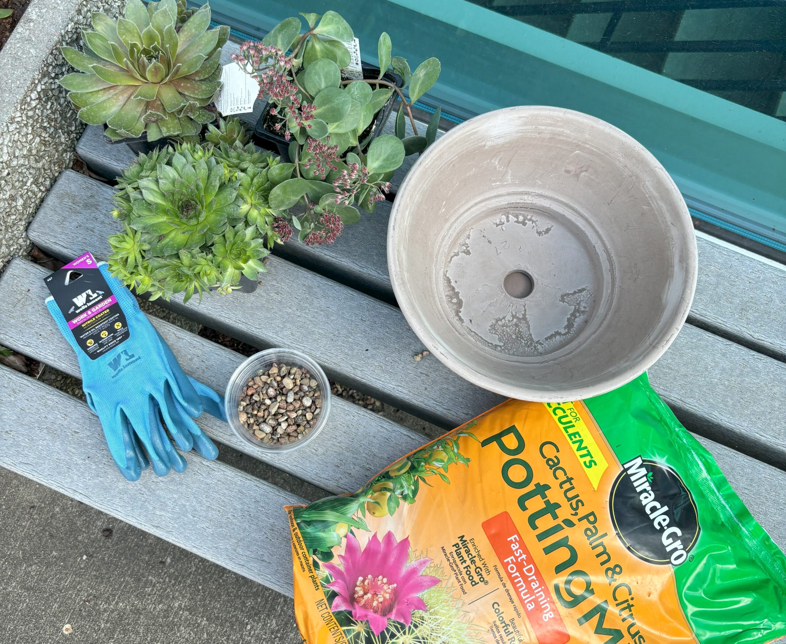 succulent bowl supplies