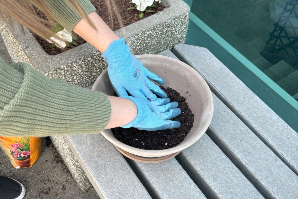 filling bowl with potting mix