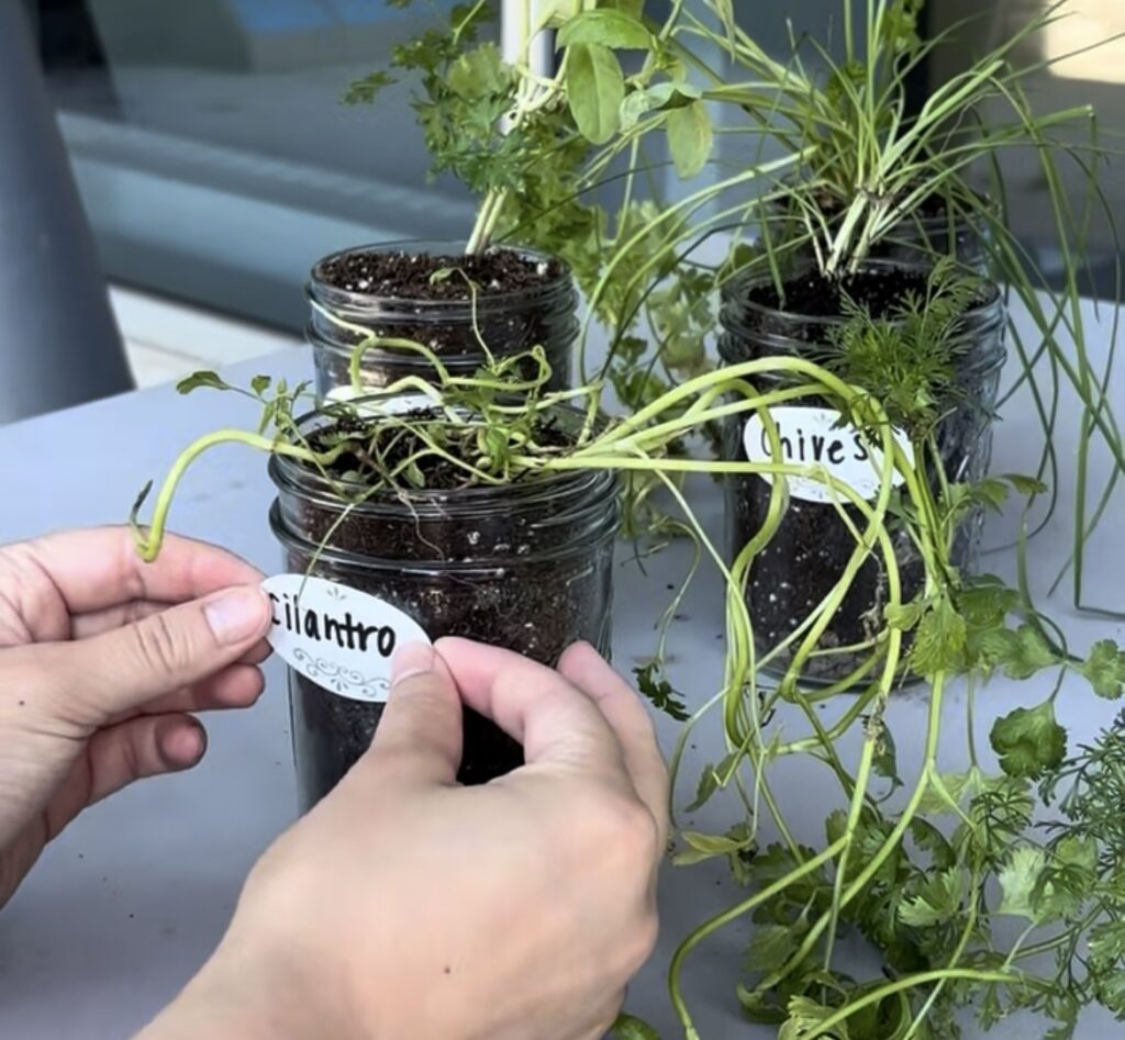 adding label to mason jar planter