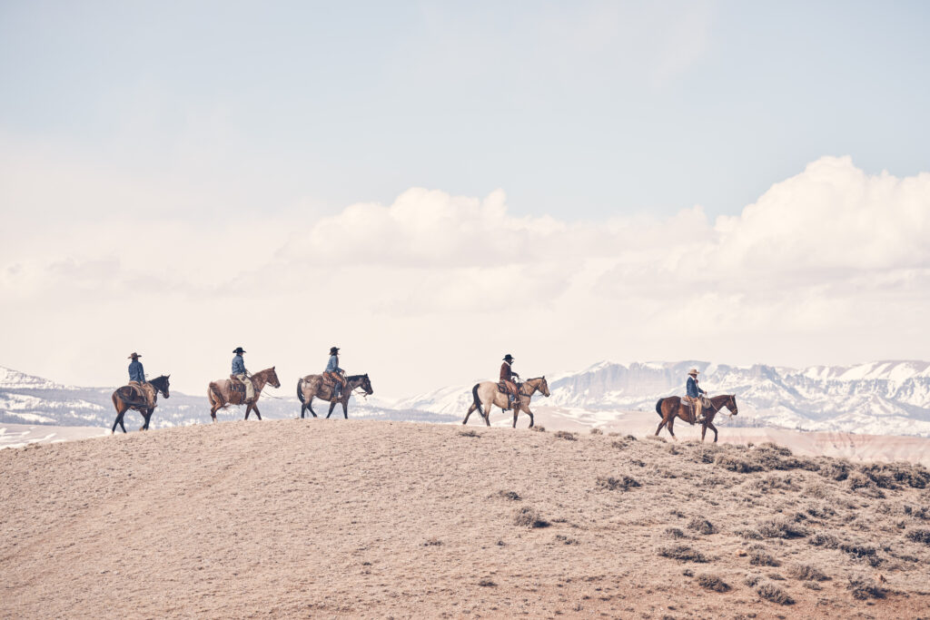 five cowboys on horses