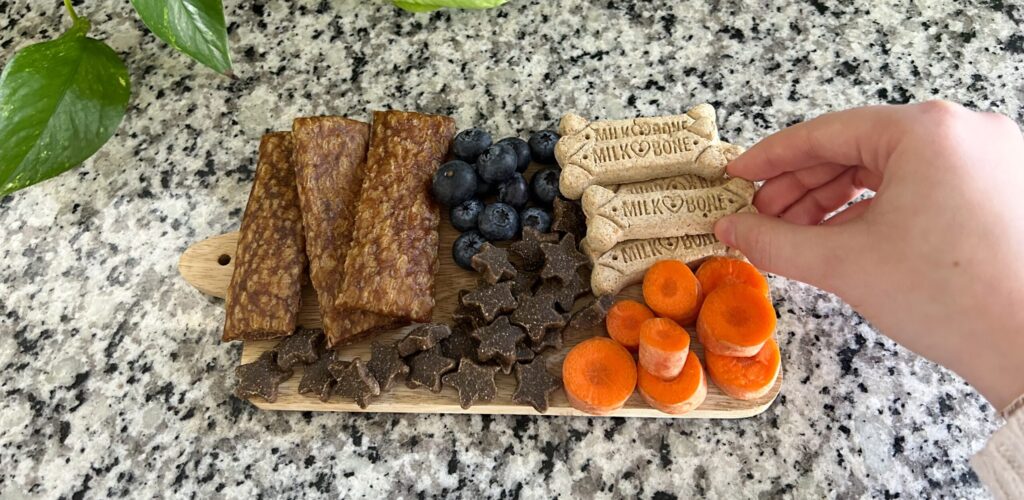dog charcuterie board