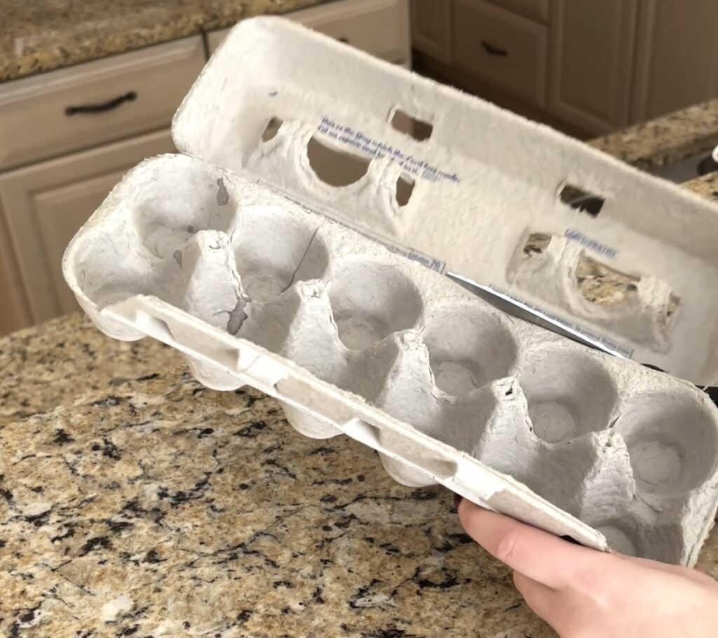 cutting egg carton lid off