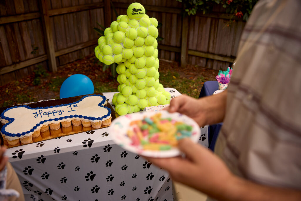 table with dog birthday cake
