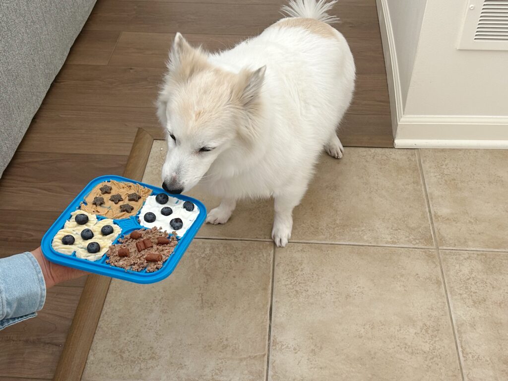 dog sniffing lick mat