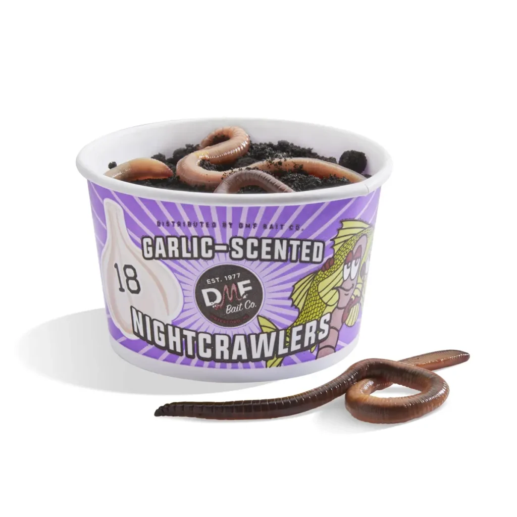 cup of live nightcrawlers