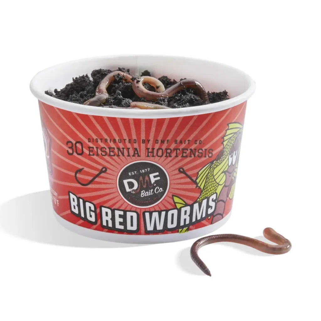 cup of live red worms