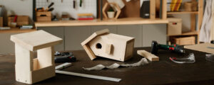 birdhouse building kit
